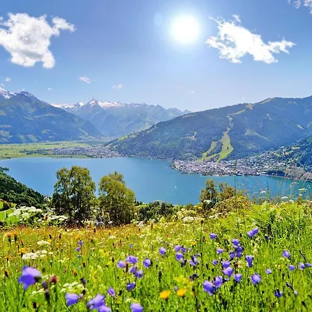 Holiday Alpenparks - Osb03149-dya